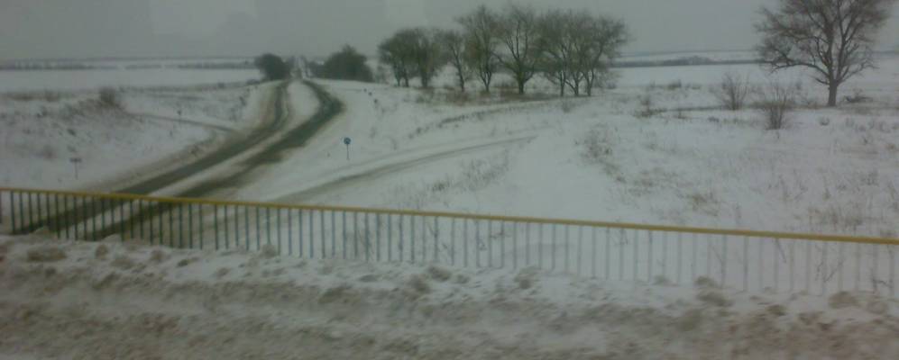 
            Фотография Дибровой