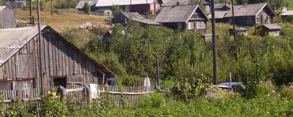 
            Фотография Ламбинаволока