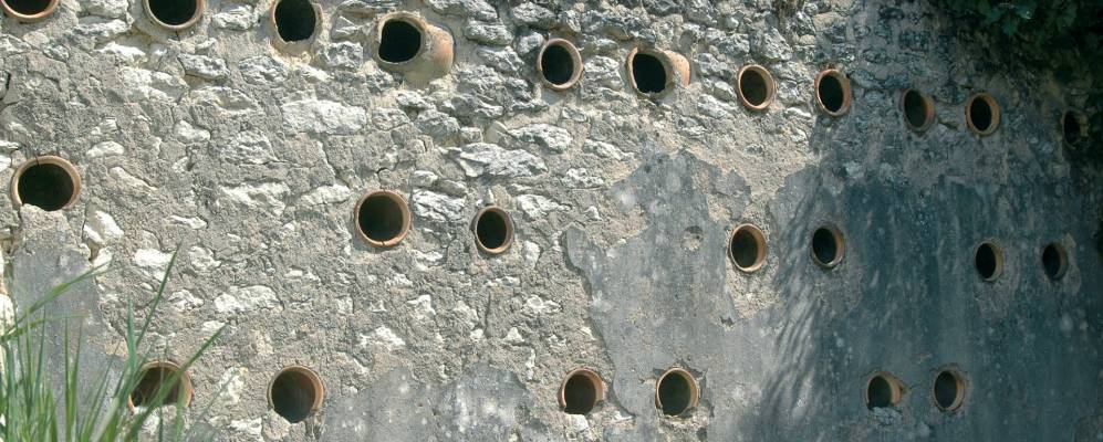 
            Фотография Brie-sous-Archiac