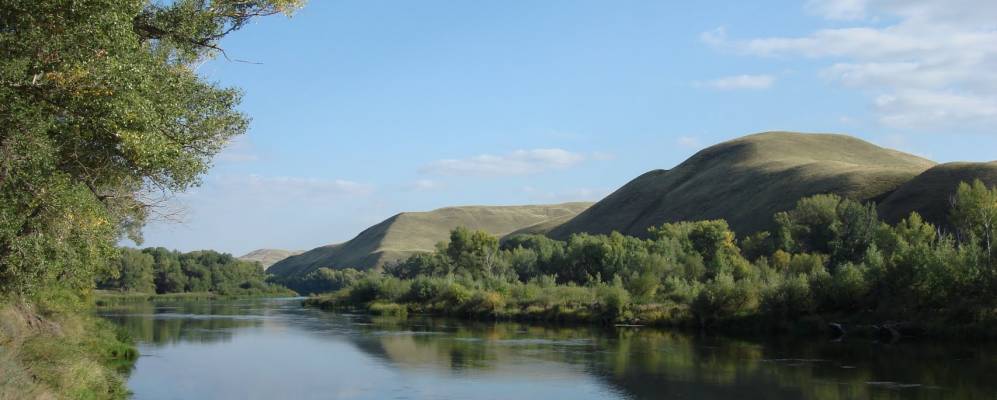 
            Фотография Уткина