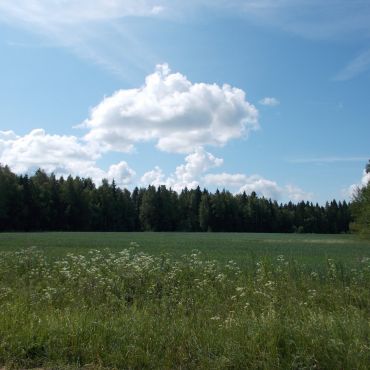 Григоровка-1