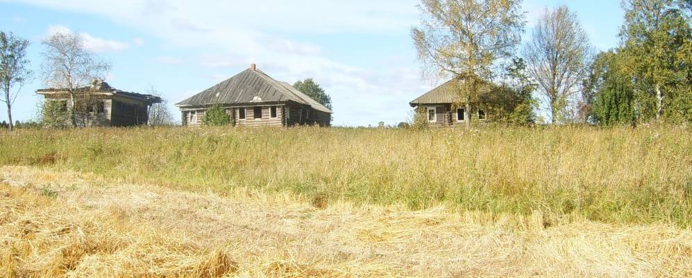 
            Фотография Липовицы