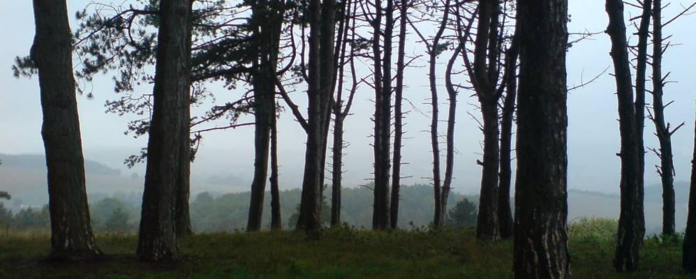 
            Фотография Хиллерсе