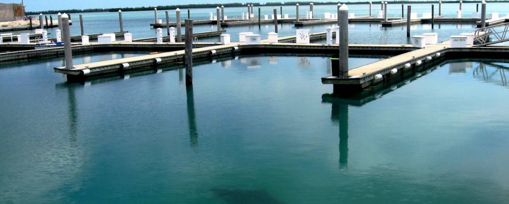 
            Фотография Бейли Тауна