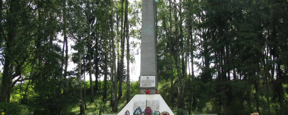 
            Фотография Мокреди