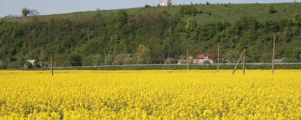 
            Фотография Затишного