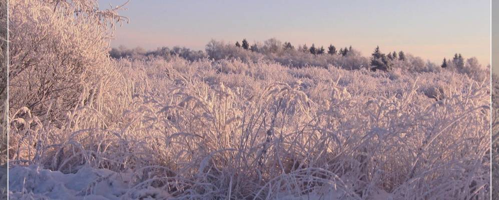 
            Фотография Язвища