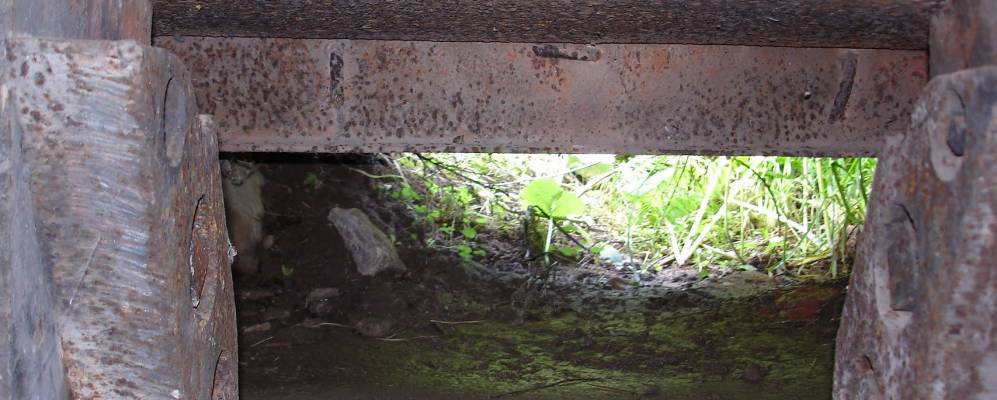 Фотография деревни Репки