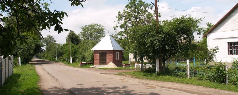 
            Фотография Гая