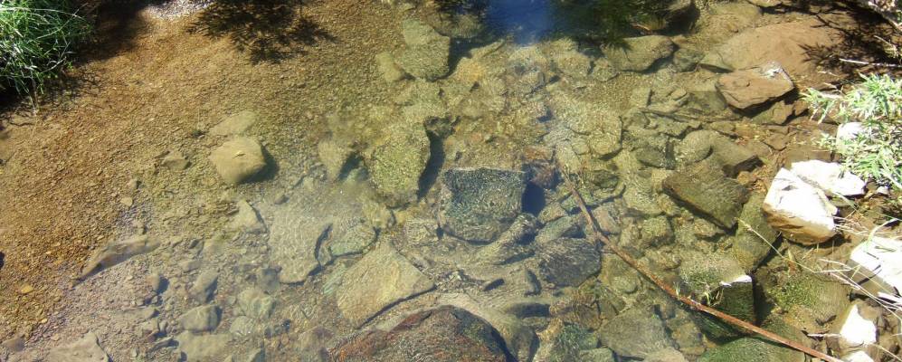 
            Фотография Сокольников