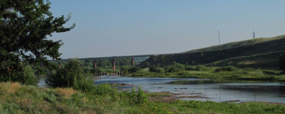 
            Фотография Веселой