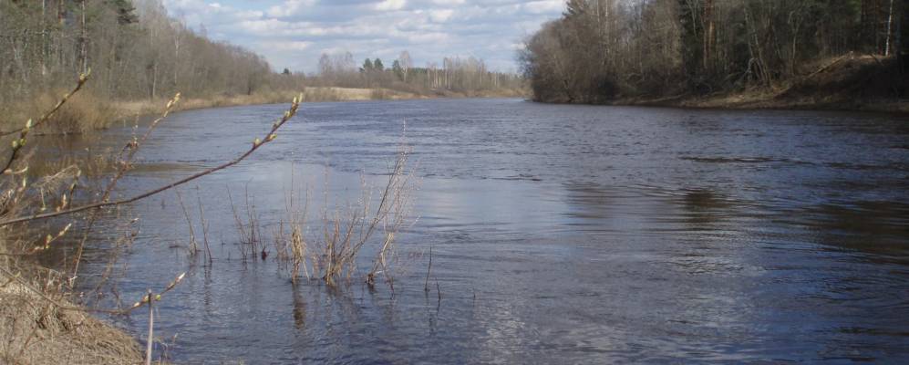 
            Фотография Низино