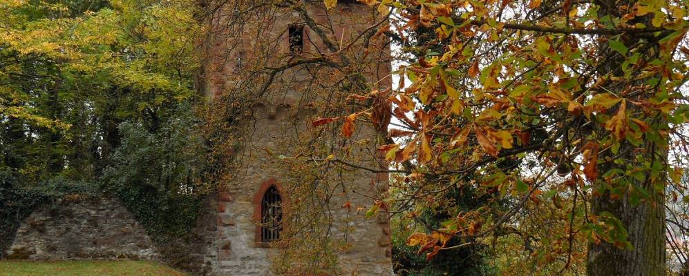 
            Фотография Найденштайна