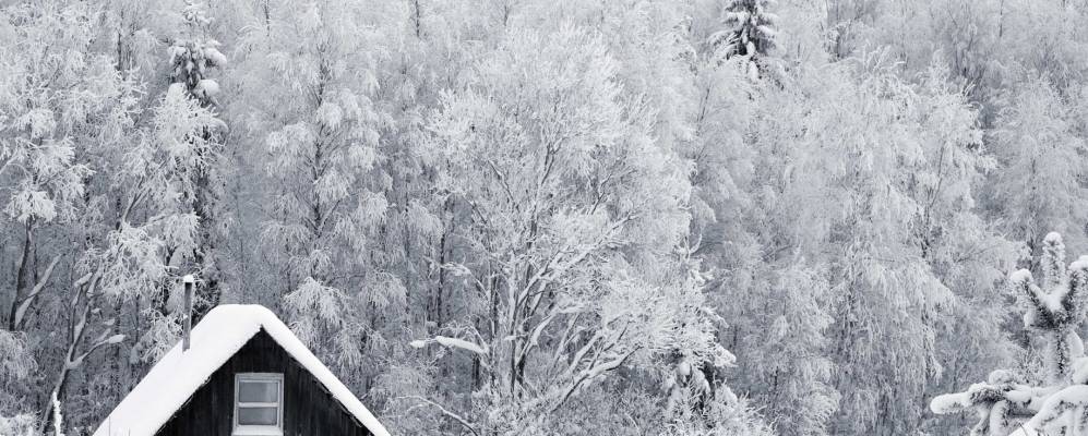 
            Фотография Сосново