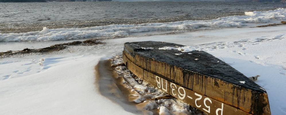 
            Фотография Сташково