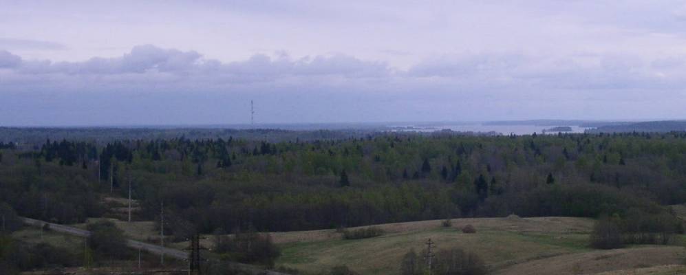 
            Фотография Ореховно