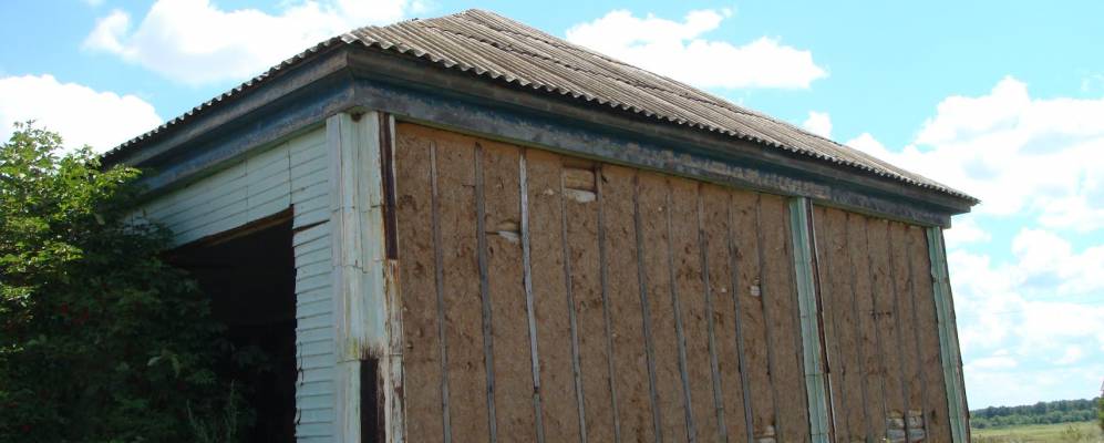 
            Фотография Старогольского