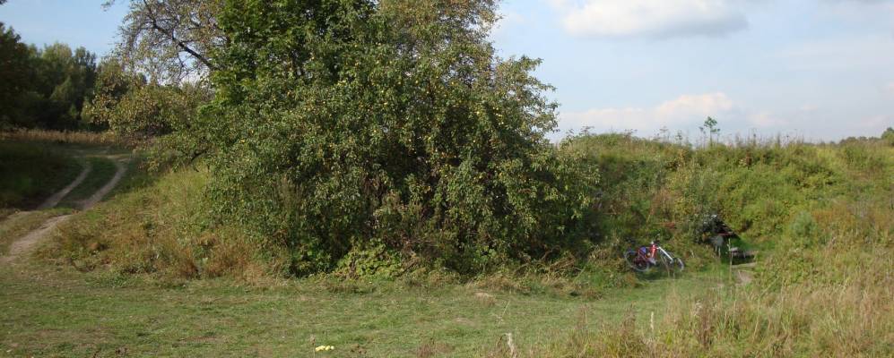 
            Фотография Костино