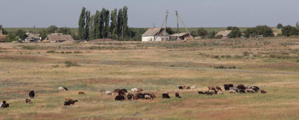 
            Фотография Бабовни