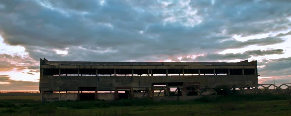 
            Фотография Софьинки