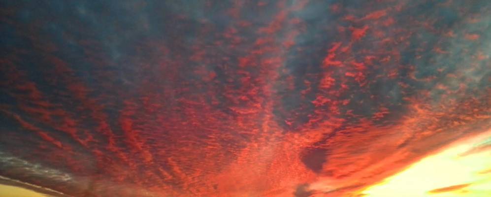 
            Фотография Бережного