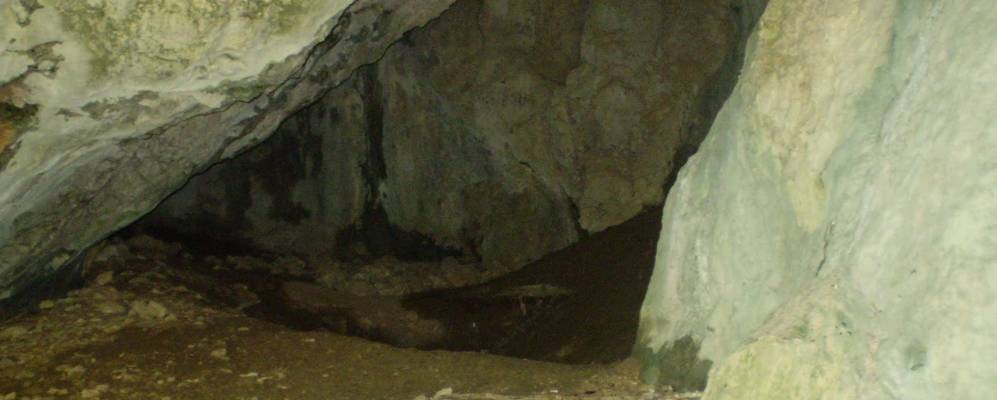 
            Фотография Великаи Угольки