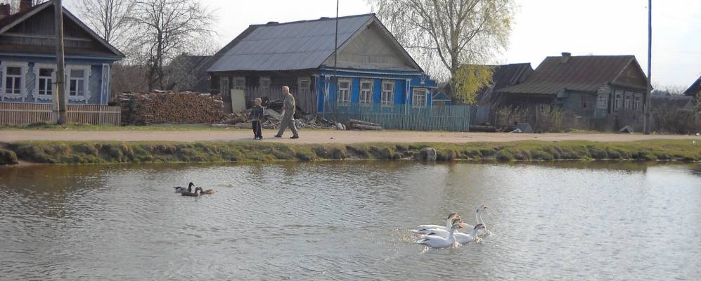 
            Фотография Усадов