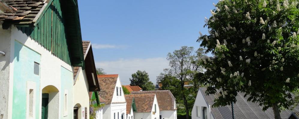 
            Фотография Майльберга