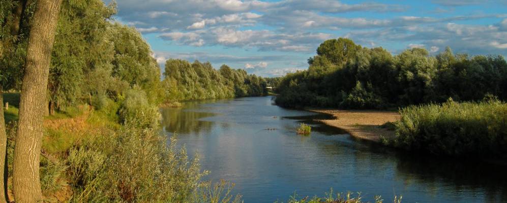 
            Фотография Орловки