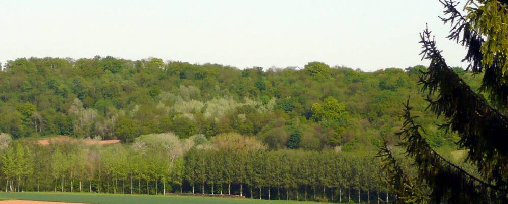 
            Фотография Кюфи