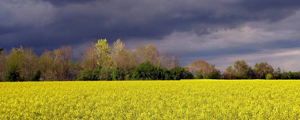 
            Фотография Истраны
