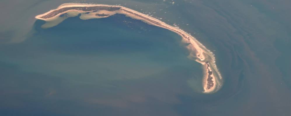 
            Фотография Холидей