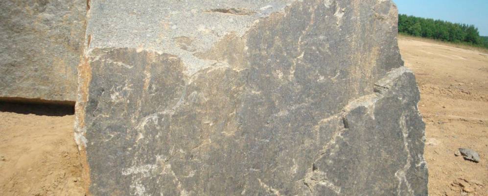 
            Фотография Лески