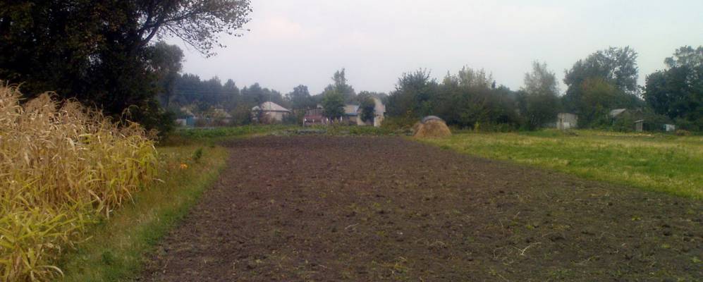 
            Фотография Казацкого