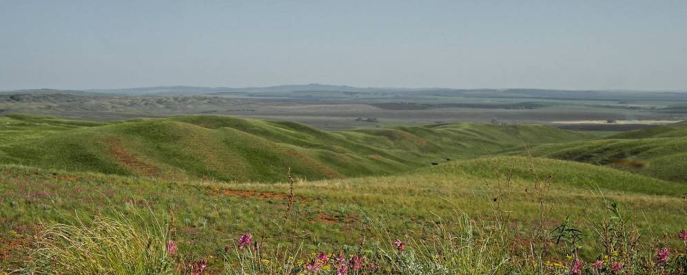 
            Фотография Верхнемурсаляево