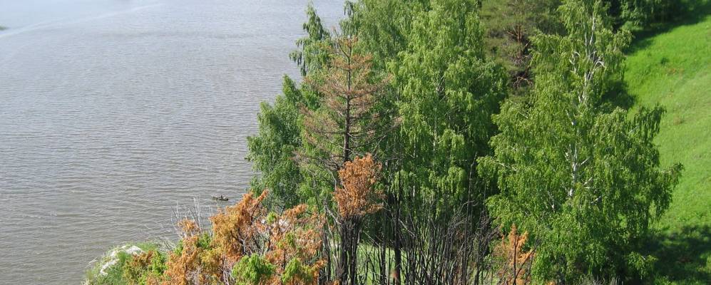 
            Фотография Гагарино