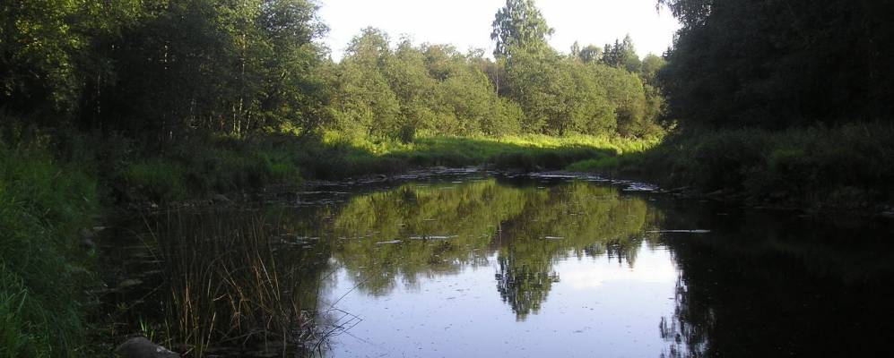 Фотография Шульгино