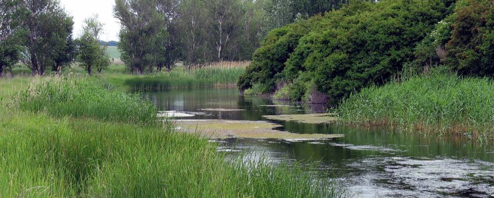 
            Фотография Анновки