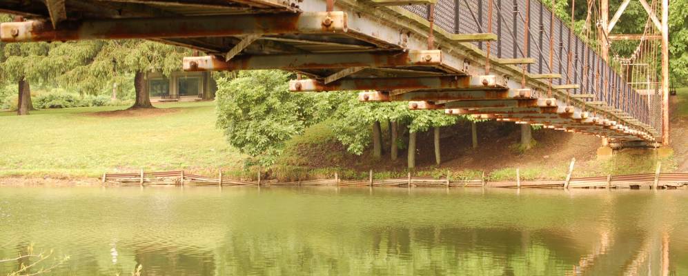 
            Фотография Лейк оф зе Вудса