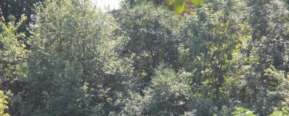 
            Фотография Полевцы