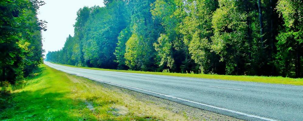 Фотография Малиновки