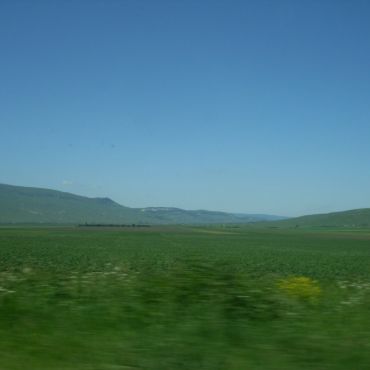 Сторожевая