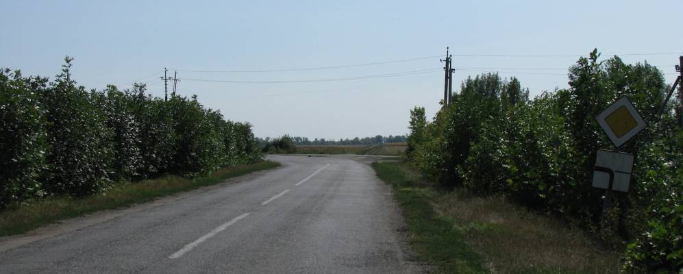 
            Фотография Распашного