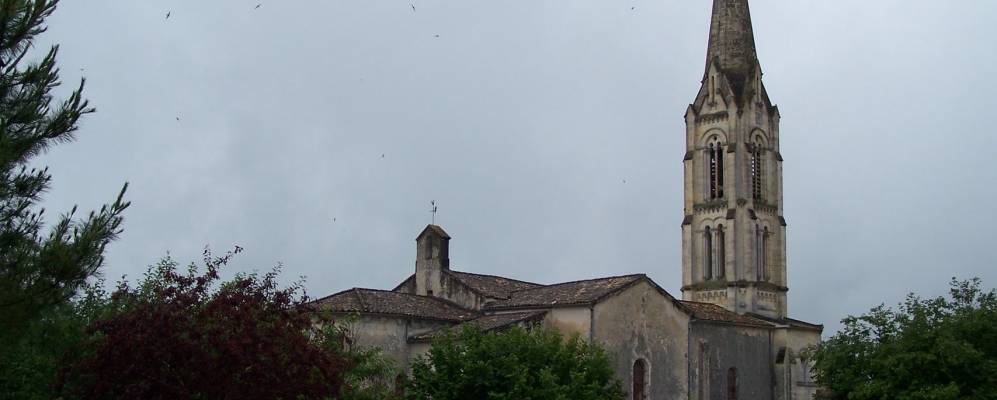 
            Фотография Сока