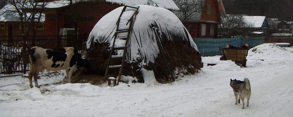 
            Фотография Мызы