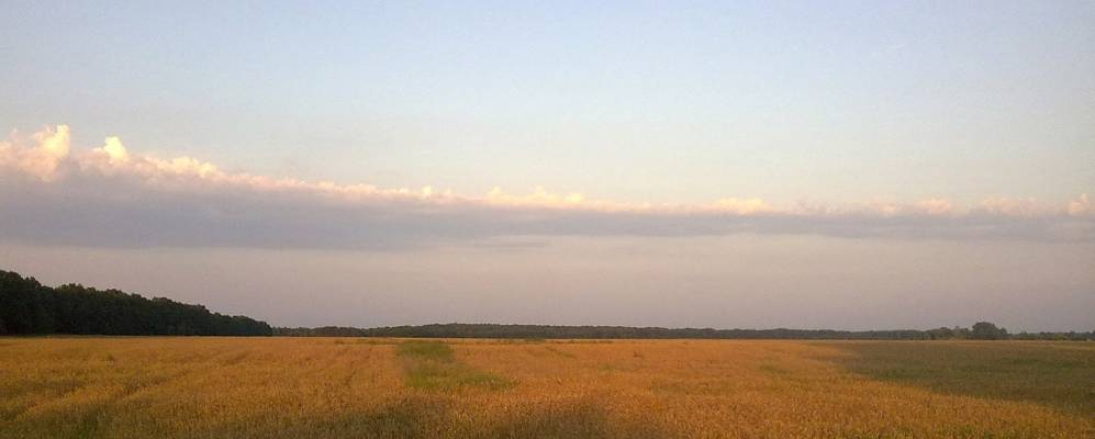 
            Фотография Рубанова