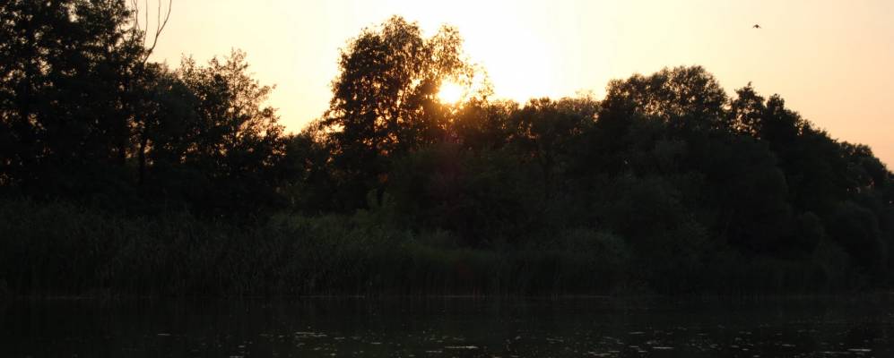 
            Фотография Биевцы