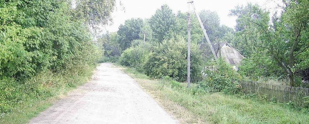 
            Фотография Молчановского