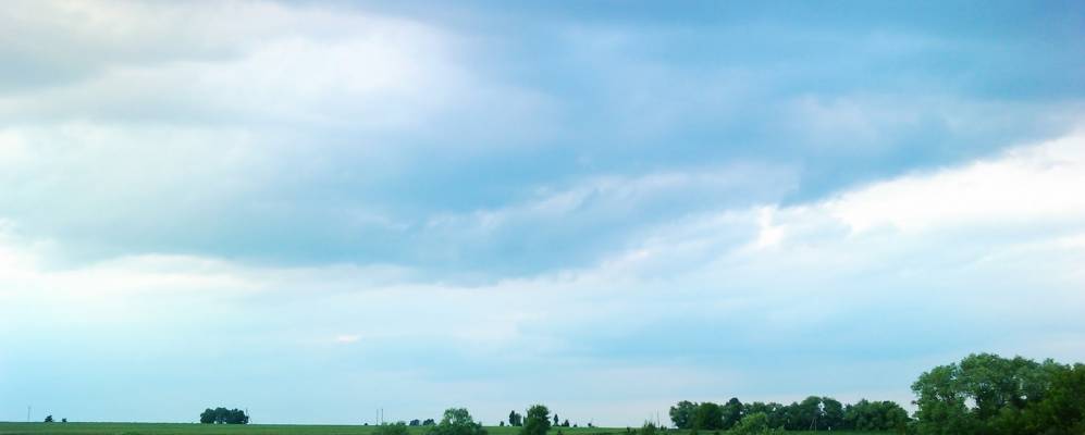 
            Фотография Моховки