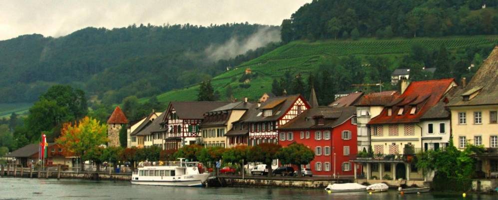 
            Фотография Штайна